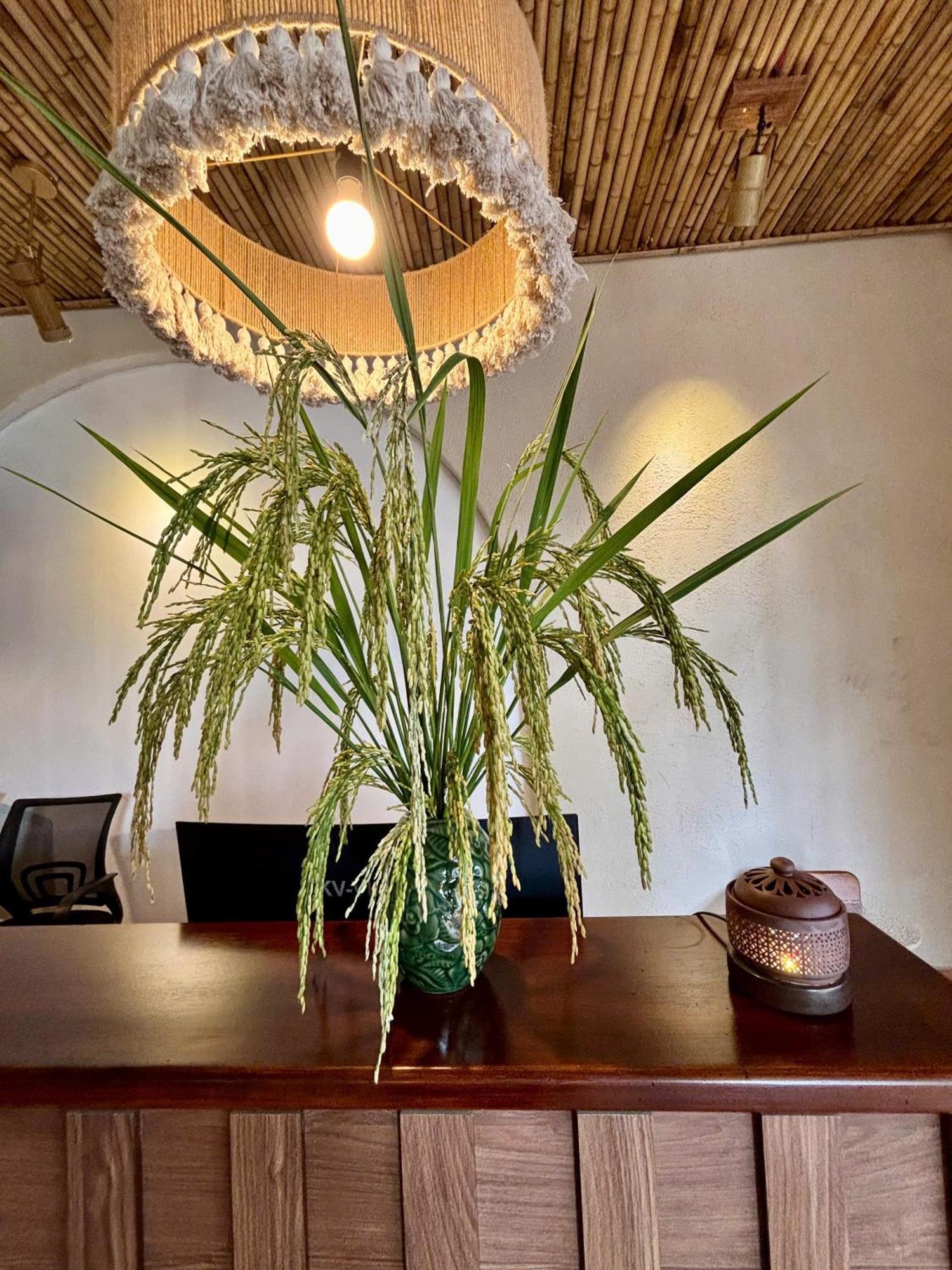 Truong Giang Boutique Hotel Lang Mon 외부 사진
