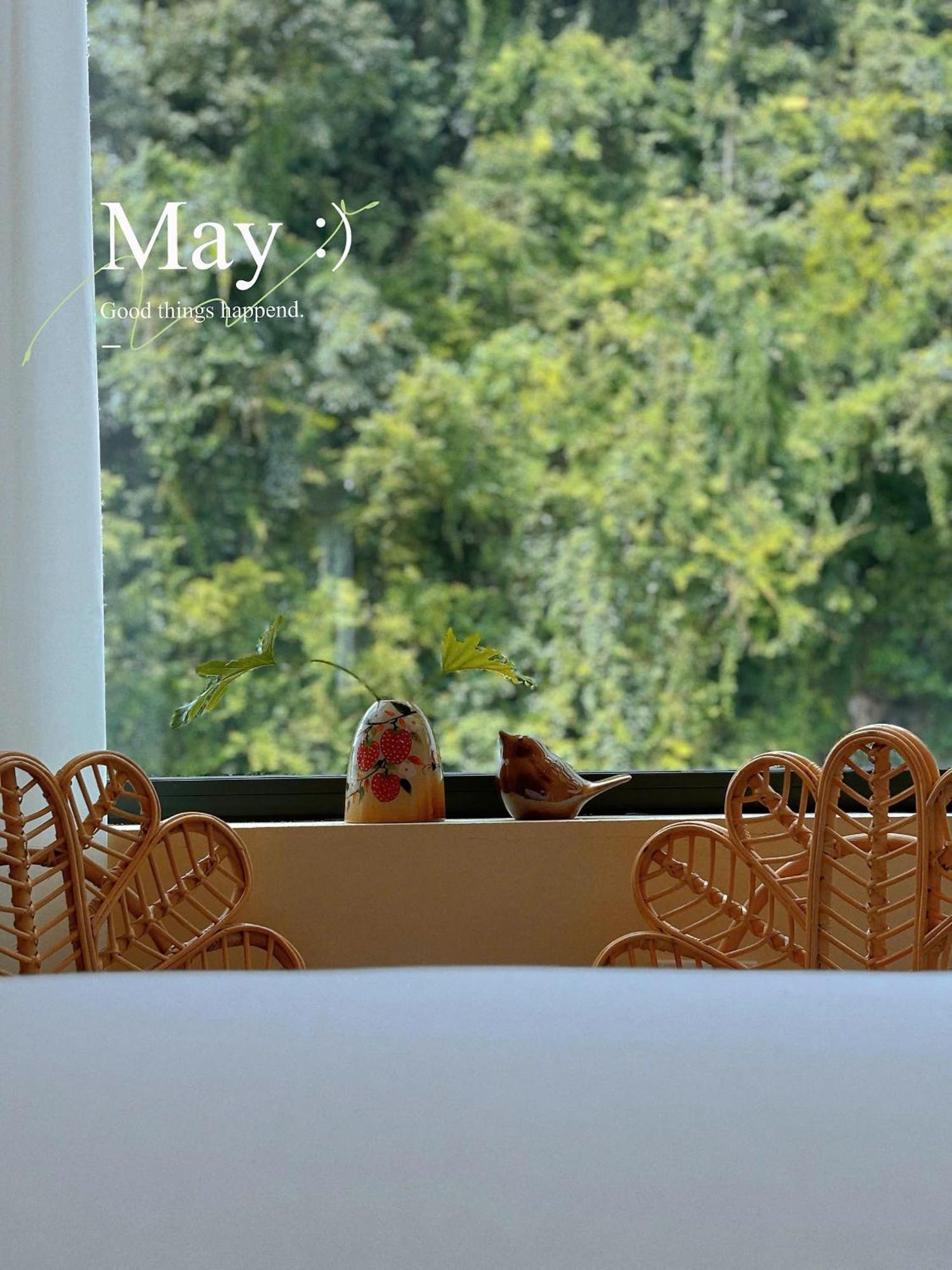 Truong Giang Boutique Hotel Lang Mon 외부 사진